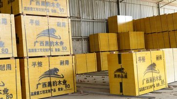 廣西建筑模板高性價(jià)比木模板