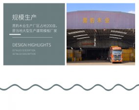 黑豹木業(yè)，您值得信賴的南寧建筑模板廠家