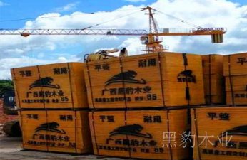 南寧建筑模板生產(chǎn)廠家有那些?